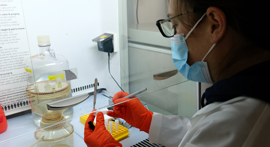 Tutkija Jacqueline Jerney työskentelemässä tutkimusalus Arandan laboratoriossa.